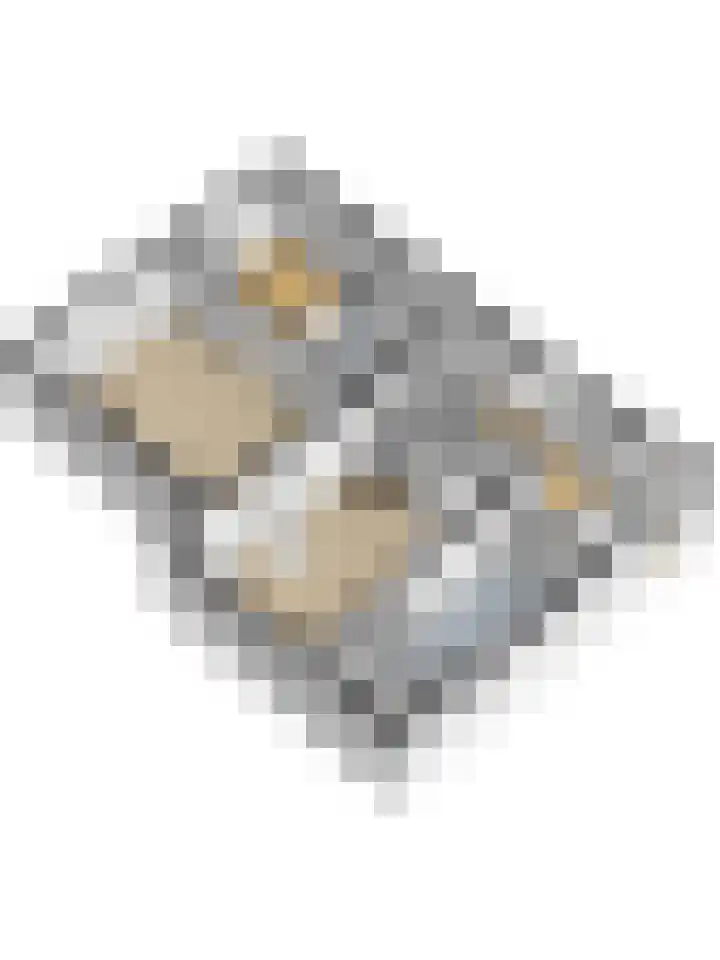 Nieuwebildtdijk 420 St.-Jacobiparochie thumbnail 52