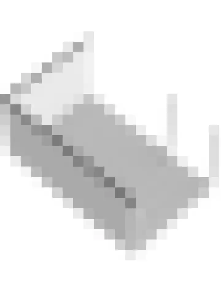 Nieuwebildtdijk 420 St.-Jacobiparochie thumbnail 59