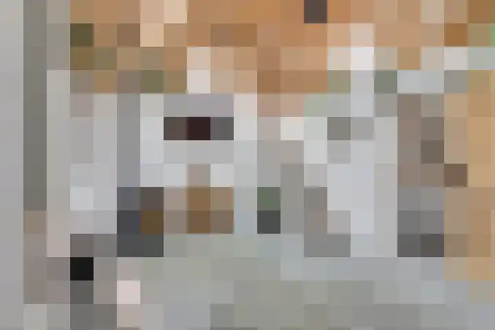 Nieuwebildtdijk 420 St.-Jacobiparochie thumbnail 8
