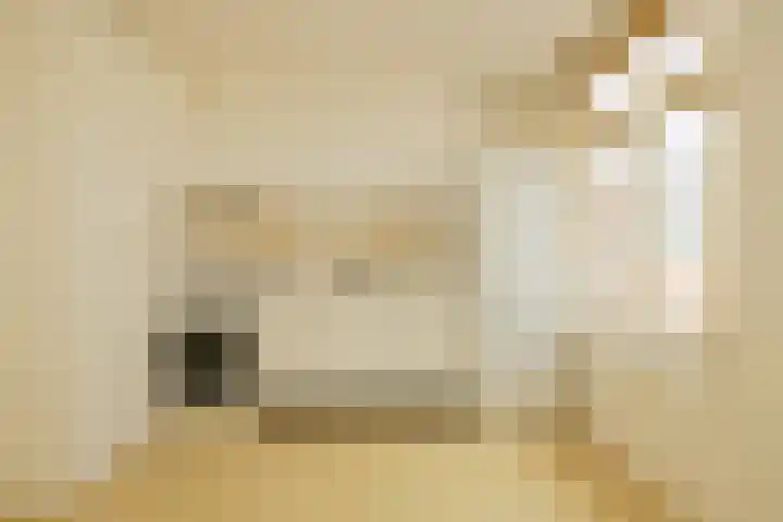 Nieuwebrugsteeg 2 E Leiden thumbnail 15