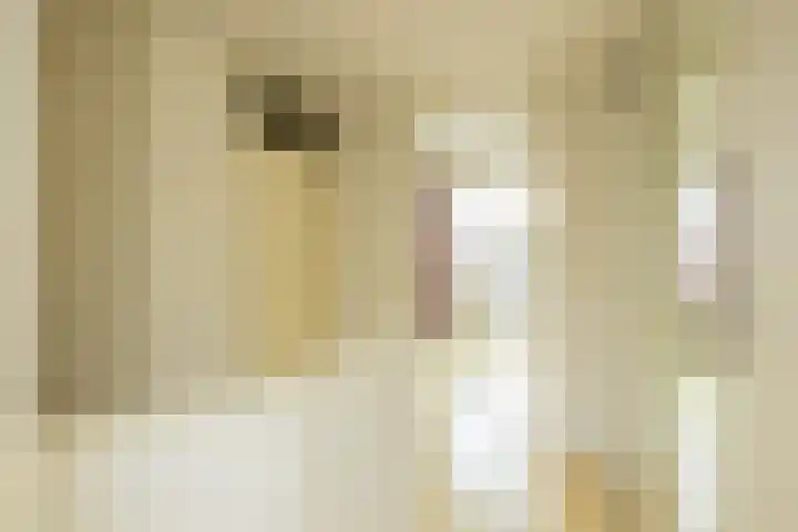 Nieuwebrugsteeg 2 E Leiden thumbnail 20
