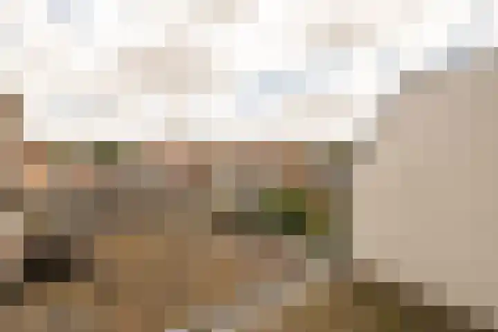 Nieuwebrugsteeg 2 E Leiden thumbnail 26