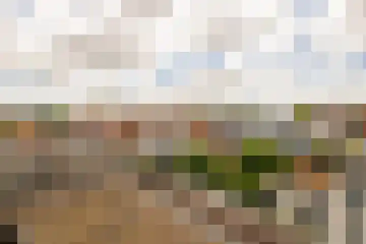 Nieuwebrugsteeg 2 E Leiden thumbnail 27