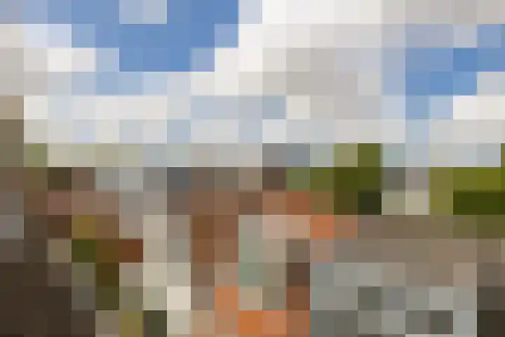 Nieuwebrugsteeg 2 E Leiden thumbnail 37