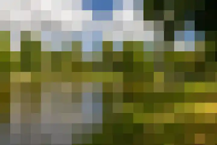 Nieuwebrugsteeg 2 E Leiden thumbnail 41