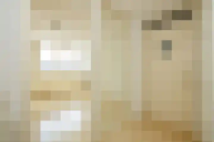 Nieuwebrugsteeg 2 E Leiden thumbnail 9