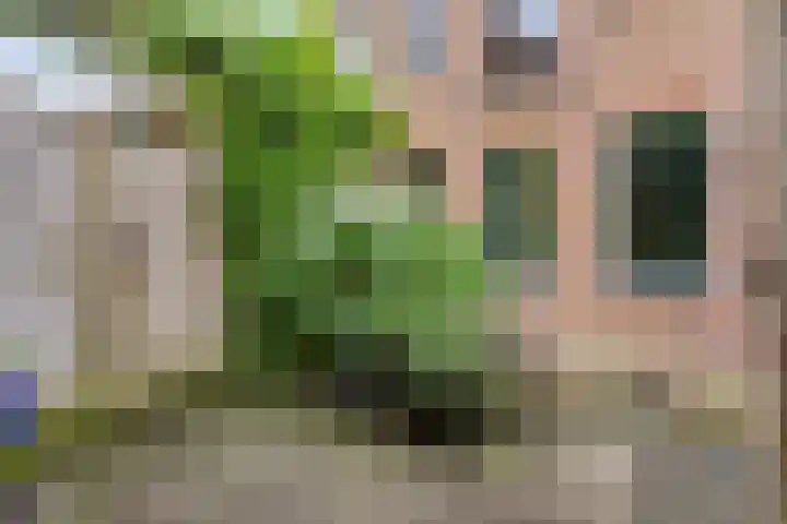 Nieuwehaven 19 a Edam thumbnail 53