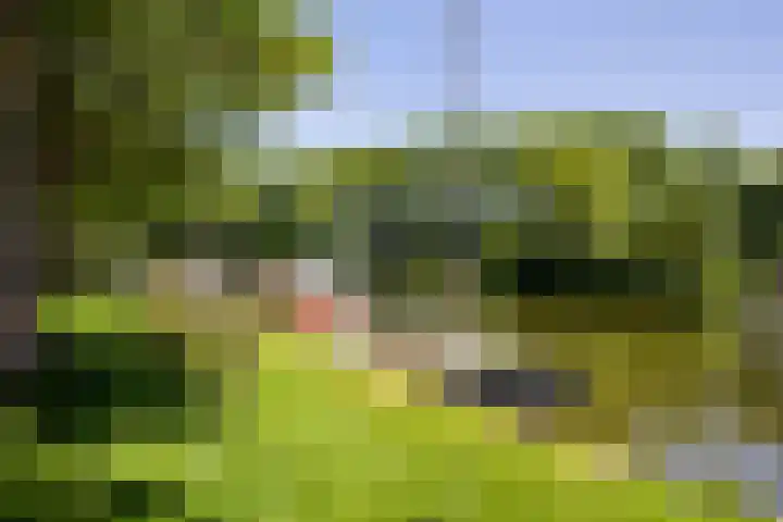 Nieuwehaven 20 Edam thumbnail 4