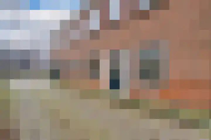 Nieuwehaven 68 Edam thumbnail 8