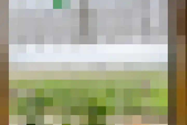 Nieuwendijk 2 Rumpt thumbnail 14