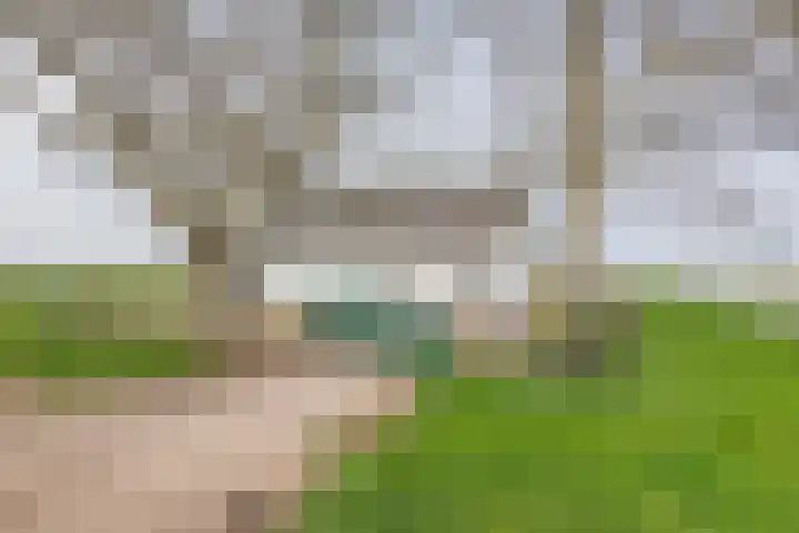 Nieuwendijk 2 Rumpt foto 2