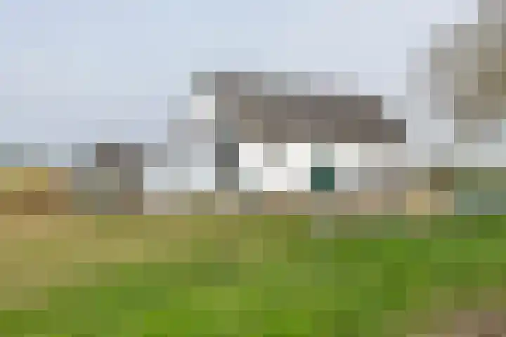 Nieuwendijk 2 Rumpt foto 3