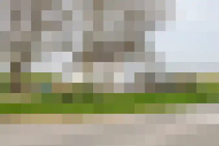 Nieuwendijk 2 Rumpt thumbnail 5