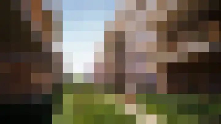 Nieuwendijk 8 Weert thumbnail 5