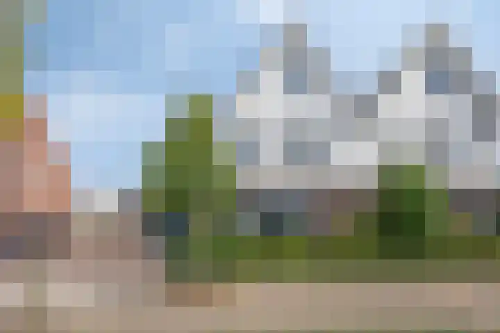 Nieuwenhove 13 dans Kruiningen