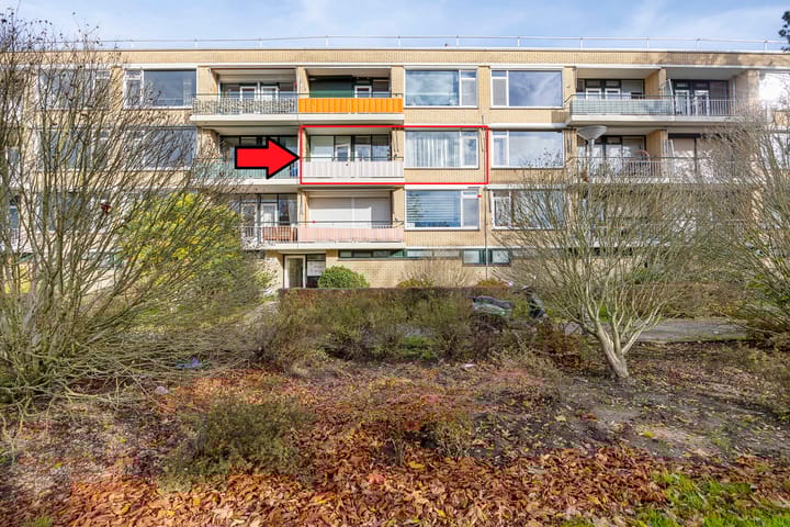 Nieuwenoord 152 in Rotterdam foto