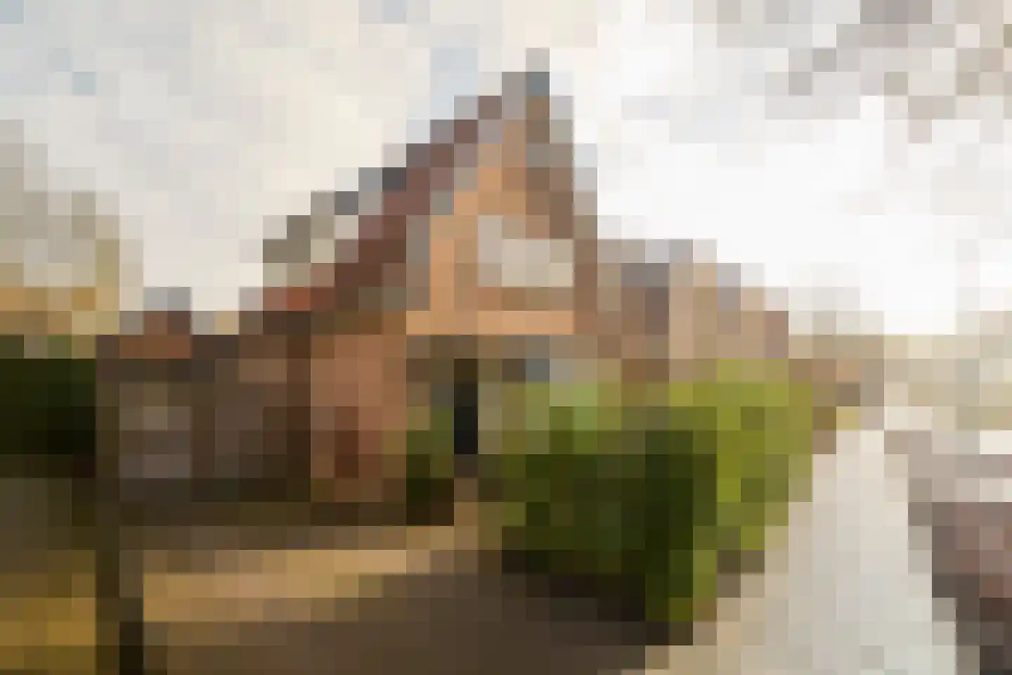 Nieuweweg 101 dans Soest
