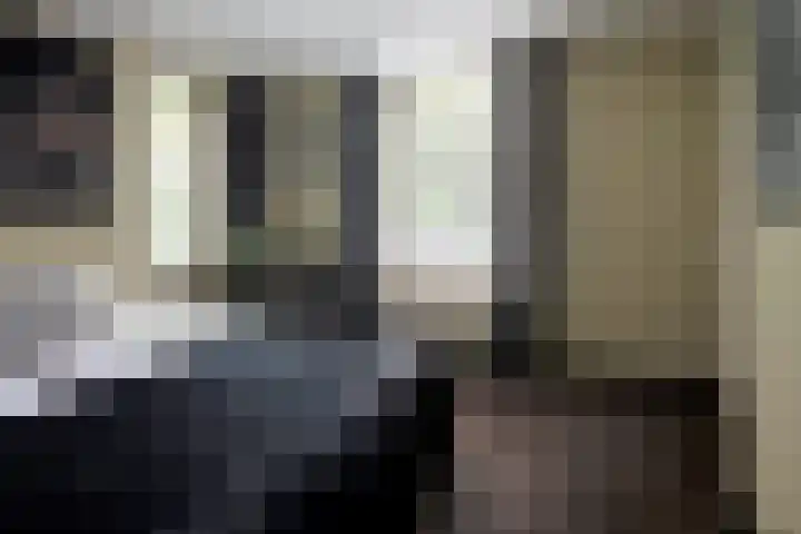 Nieuwland 12 Wapse thumbnail 12