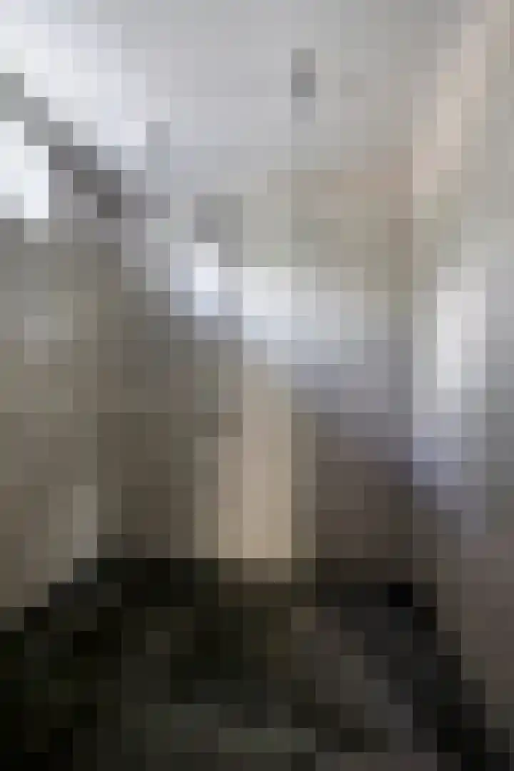 Nieuwland 12 Wapse thumbnail 17