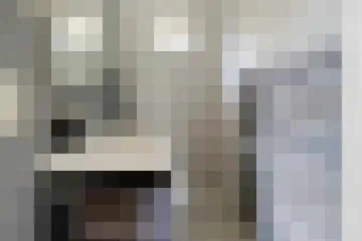 Nieuwland 12 Wapse thumbnail 20