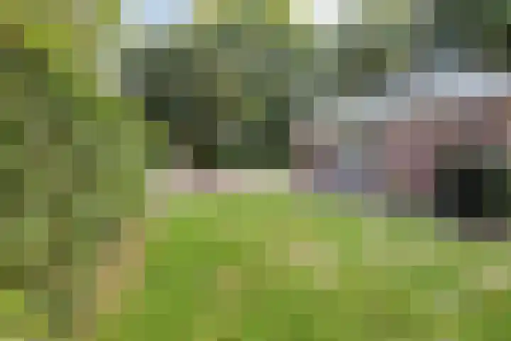Nieuwland 12 Wapse thumbnail 24