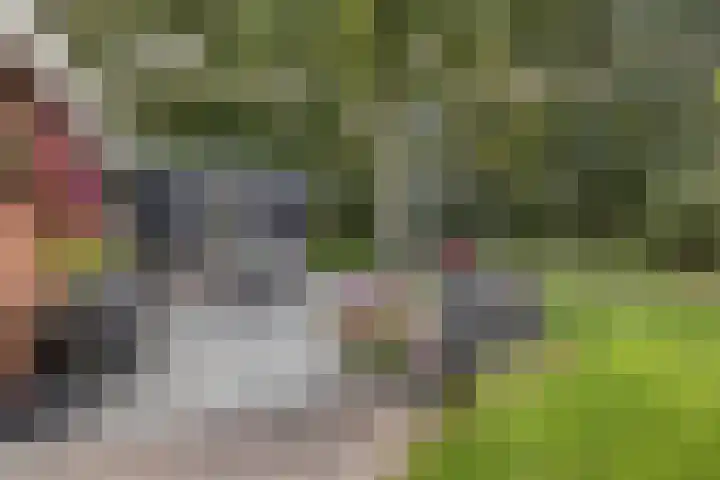 Nieuwland 12 Wapse thumbnail 26