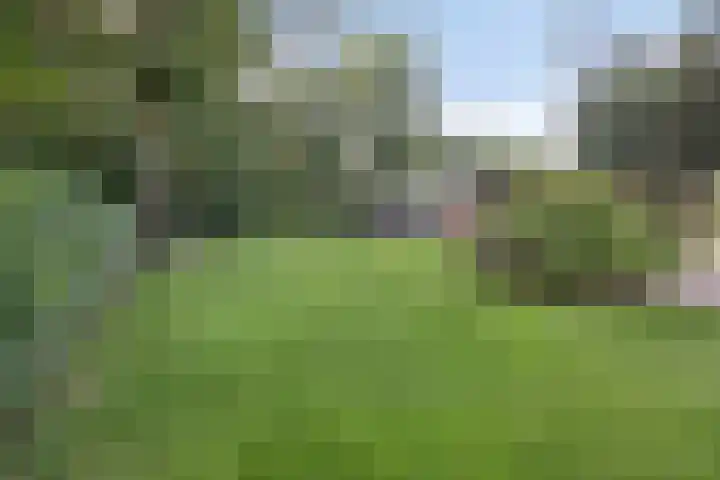 Nieuwland 12 Wapse thumbnail 31
