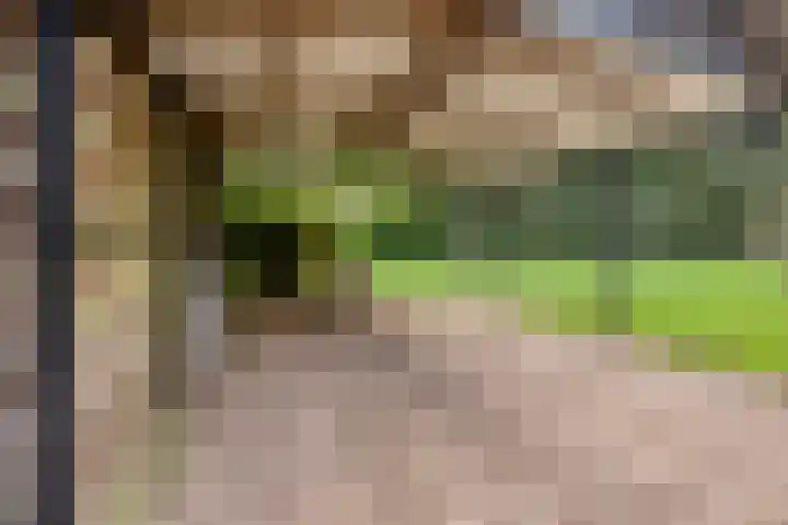 Nieuwland 12 Wapse thumbnail 33
