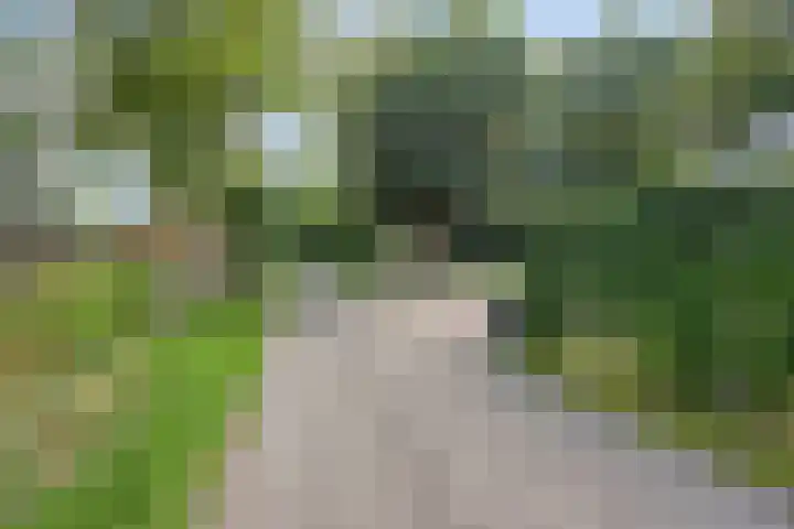 Nieuwland 12 Wapse thumbnail 39