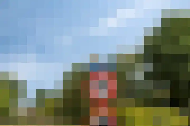 Nieuwland 12 Wapse thumbnail 41