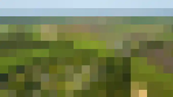 Nieuwland 12 Wapse thumbnail 43