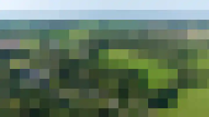 Nieuwland 12 Wapse thumbnail 44