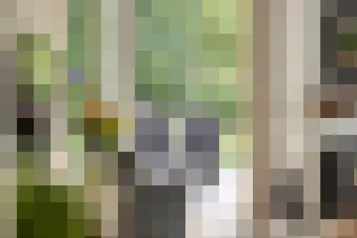 Nieuwland 12 Wapse thumbnail 5