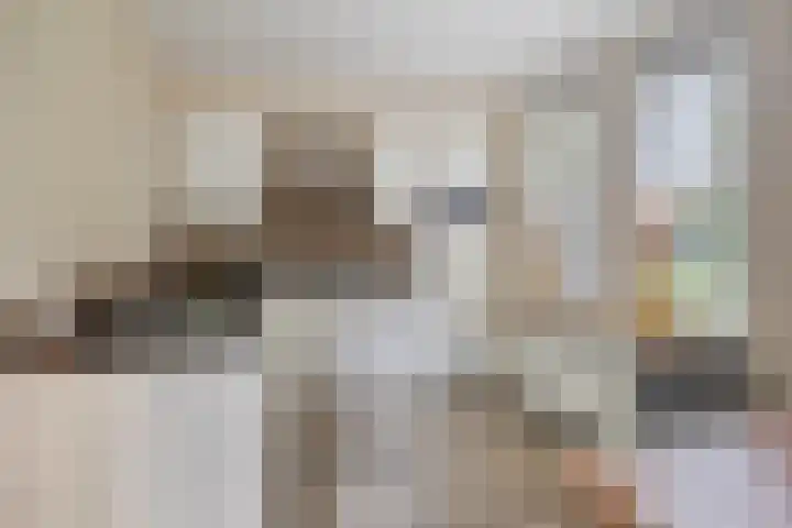 Nieuwland 12 Wapse thumbnail 8