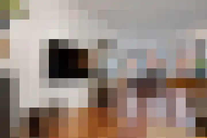 Nieuwstad 24 Arnhem thumbnail 11