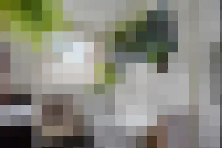 Nieuwstad 24 Arnhem thumbnail 21