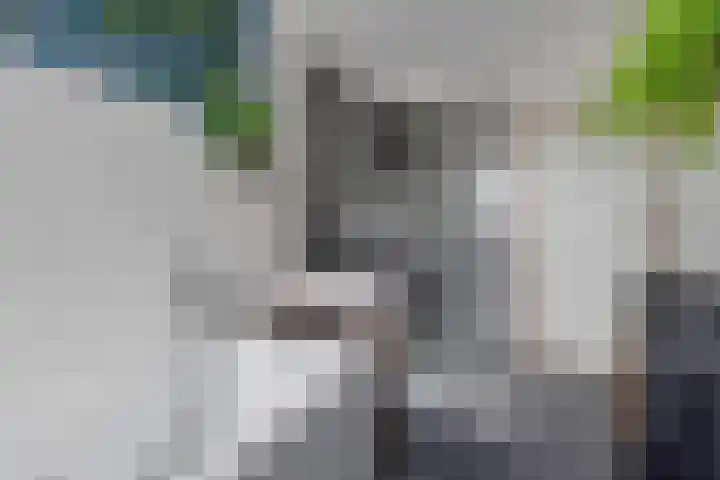 Nieuwstad 24 Arnhem thumbnail 24