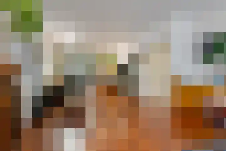 Nieuwstad 24 Arnhem thumbnail 7