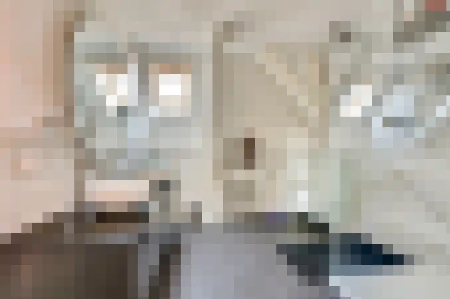 Nieuwstad 34 Hindeloopen thumbnail 4
