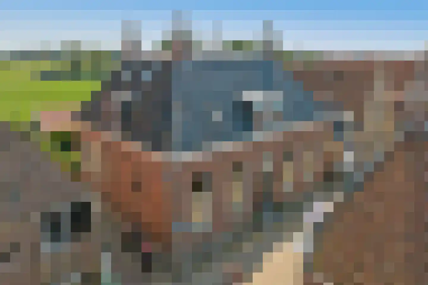Nieuwstad 34 Hindeloopen thumbnail 46