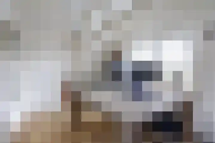 Nieuwstad 4 Hindeloopen thumbnail 20