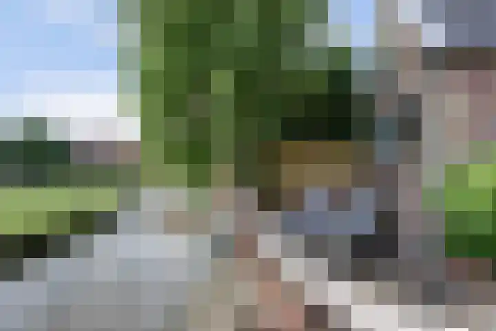 Nieuwstad 4 Hindeloopen thumbnail 22