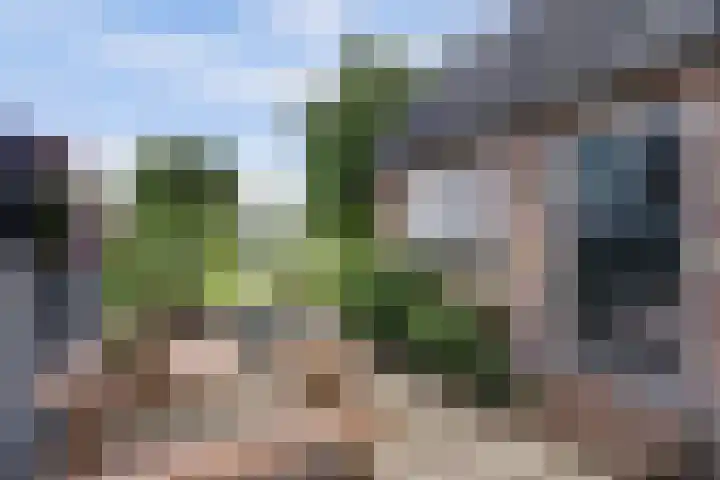 Nieuwstad 4 Hindeloopen thumbnail 24