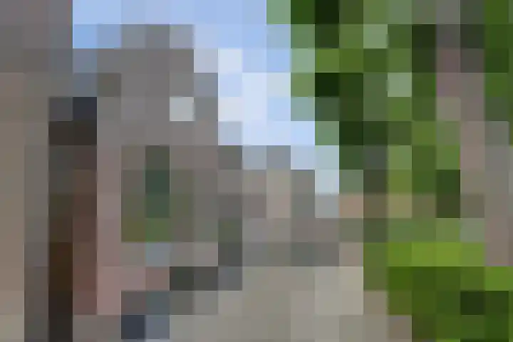 Nieuwstad 4 Hindeloopen thumbnail 27