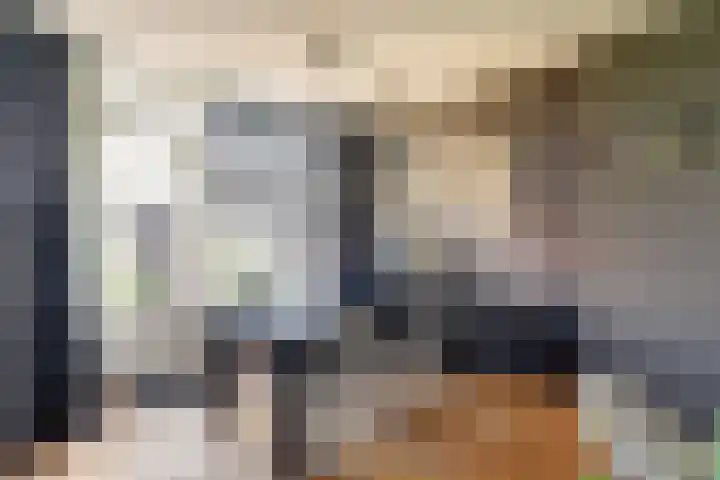Nieuwsteeg 24 Tricht thumbnail 10