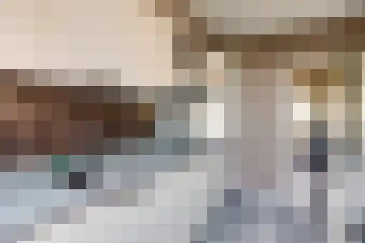 Nieuwsteeg 24 Tricht thumbnail 13