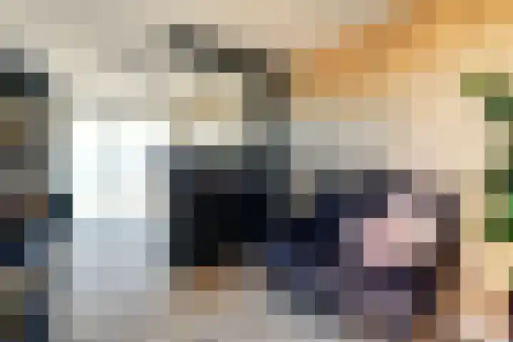 Nieuwsteeg 24 Tricht thumbnail 19