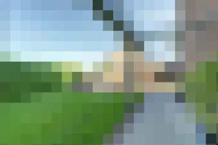 Nieuwsteeg 24 Tricht thumbnail 29
