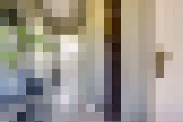 Nieuwsteeg 24 Tricht thumbnail 32