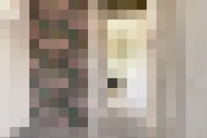 Nieuwsteeg 24 Tricht thumbnail 34
